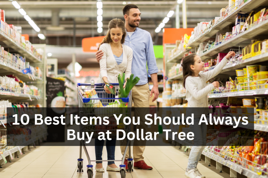 10 Best Items You Should Always Buy at Dollar Tree