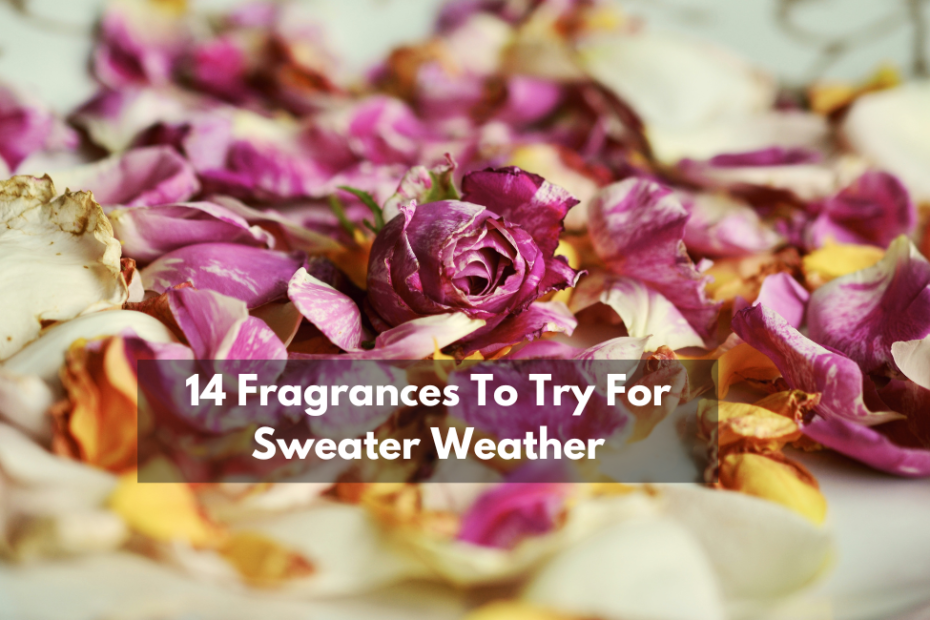 14 Fragrances To Try For Sweater Weather