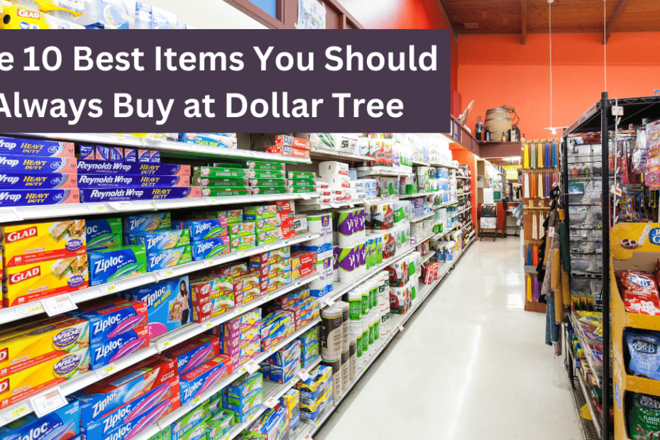The 10 Best Items You Should Always Buy at Dollar Tree