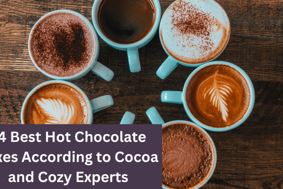 14 Best Hot Chocolate Mixes According to Cocoa and Cozy Experts
