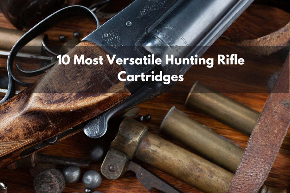 10 Most Versatile Hunting Rifle Cartridges