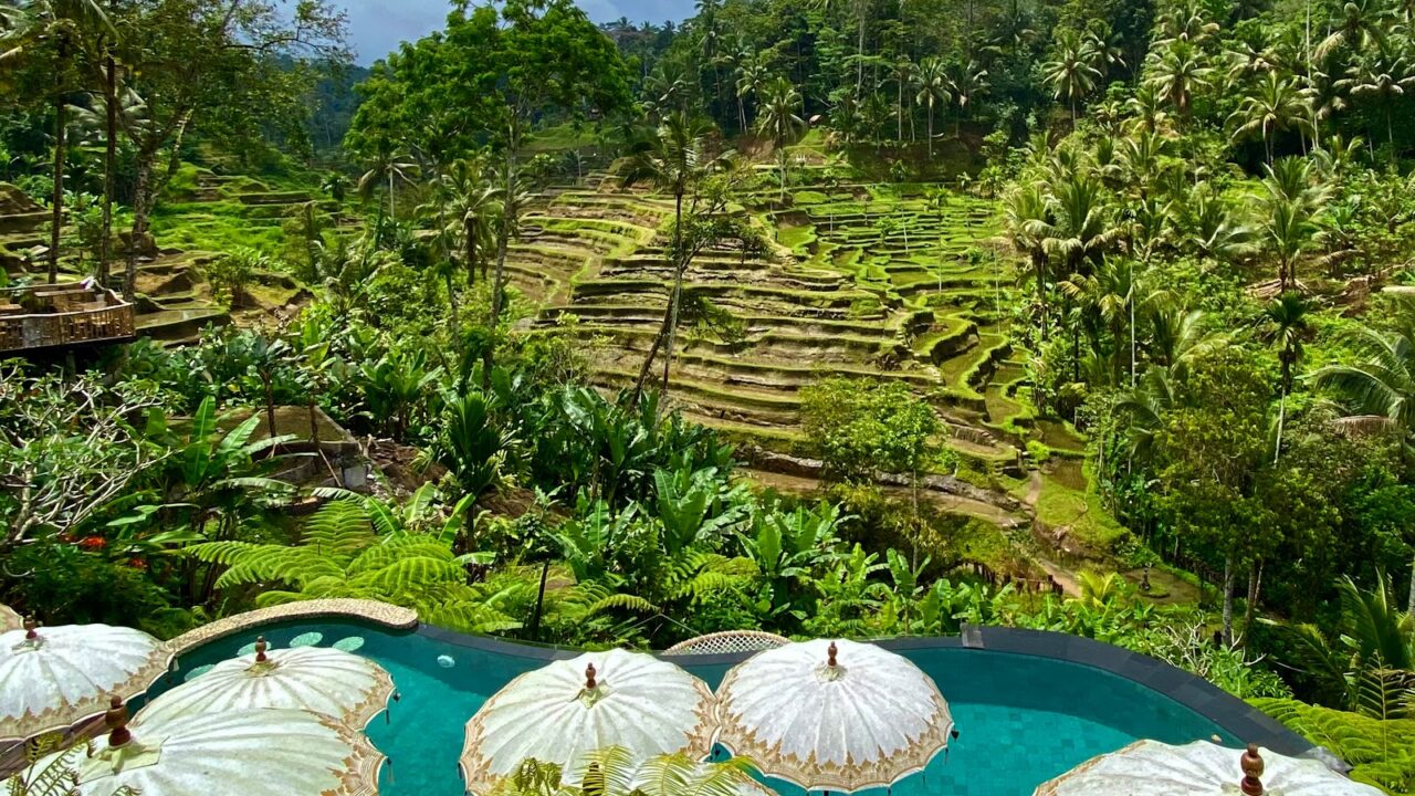 Cafe Tepi Sungai Estetik di Ubud yang Bikin Adem & Tenang