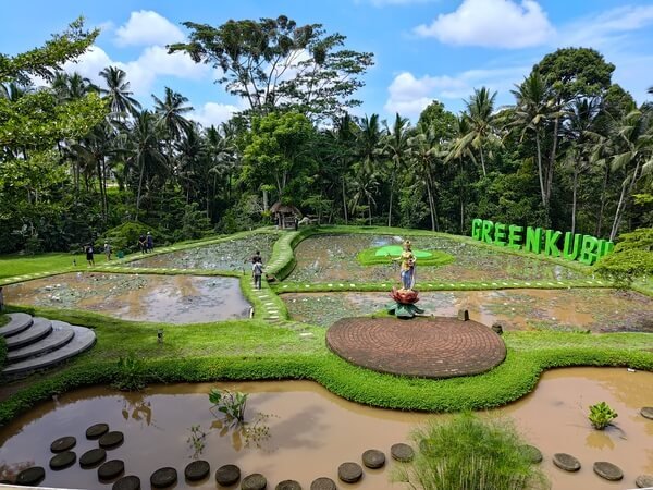 cafe estetik tepi sawah di Bali